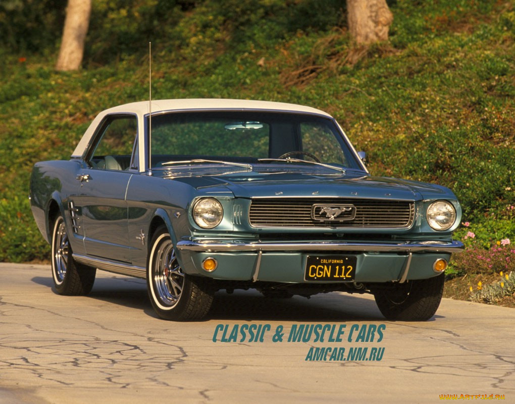 , ford